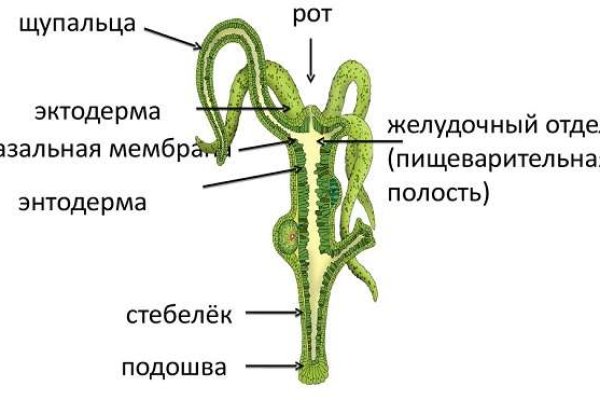 Кракен меф