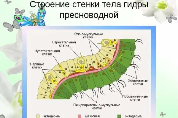 Что такое кракен маркетплейс